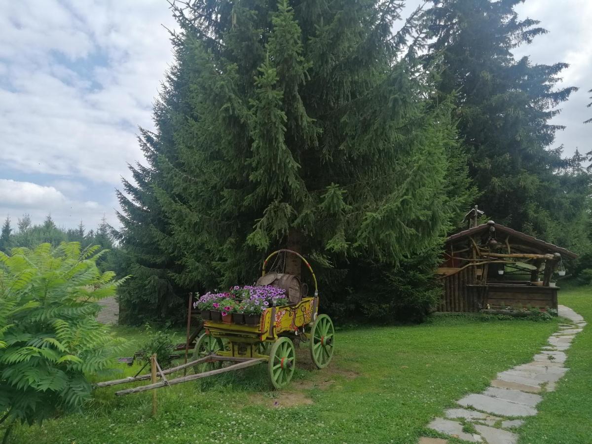 My Favorite Place - Моето Любимо Място - Family Apartment, Mountain Lake complex Смолян Екстериор снимка